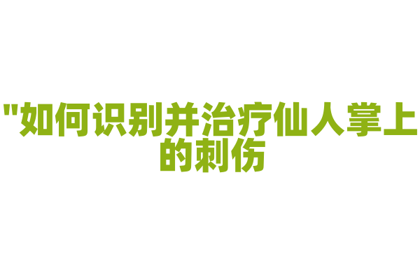 "如何识别并治疗仙人掌上的刺伤？"